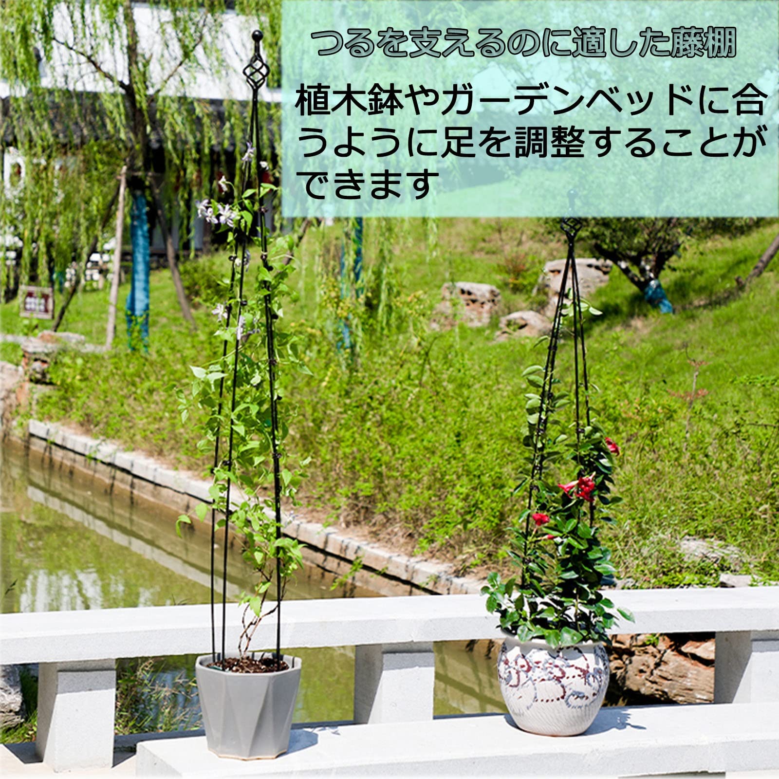 Amazon.co.jp: バラ クレマチス 誘引 つる性 庭 ベランダ テラス